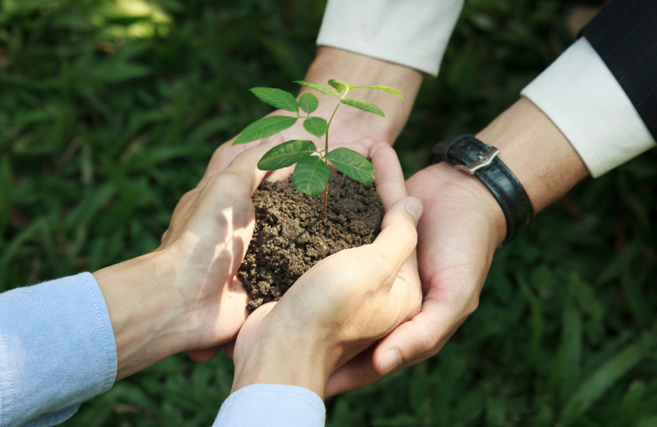 Sustainability commitment visual